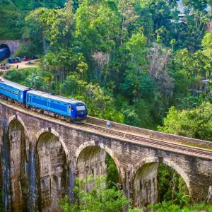 Explore Backpacking Sri Lanka (15 days) for 15 days with Backpacking Tours and discover unforgettable experiences - Photo 3