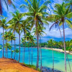 Explore Backpacking Sri Lanka (15 days) for 15 days with Backpacking Tours and discover unforgettable experiences - Photo 5