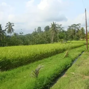 Explore Bali Bucket List Boutique 10 Day Tour for 10 days with Bali Bucket List Tours and discover unforgettable experiences - Photo 5