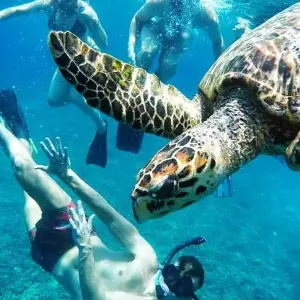 Explore Bali Bucket List Boutique 10 Day Tour for 10 days with Bali Bucket List Tours and discover unforgettable experiences - Photo 9