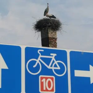 Explore Cycling along the Lithuanian Seaside (from Klaipeda) for 8 days with Baltic Bike Travel UAB and discover unforgettable experiences - Photo 2