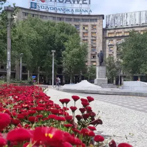 Explore Belgrade 3-days tour for 3 days with Balkan roads and discover unforgettable experiences - Photo 7