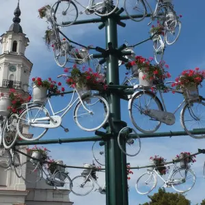 Explore Baltic Bike Tour: Vilnius to Tallinn (self-guided supported) for 11 days with Baltic Bike Travel UAB and discover unforgettable experiences - Photo 4