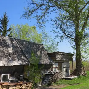 Explore Baltic Bike Tour: Tallinn to Vilnius (self-guided supported) for 11 days with Baltic Bike Travel UAB and discover unforgettable experiences - Photo 4