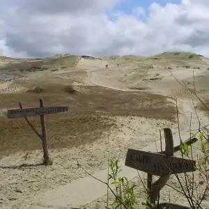 Explore Great Bike Tour of the Baltics (fully guided from Vilnius to Tallinn 2025) for 11 days with Baltic Bike Travel UAB and discover unforgettable experiences - Photo 7