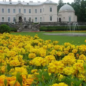 Explore Cycling along the Lithuanian Seaside (from Klaipeda) for 8 days with Baltic Bike Travel UAB and discover unforgettable experiences - Photo 6