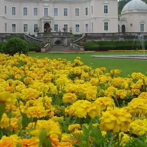 Explore Great Bike Tour of the Baltics (fully guided from Vilnius to Tallinn 2025) for 11 days with Baltic Bike Travel UAB and discover unforgettable experiences - Photo 8
