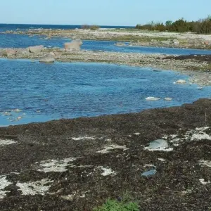 Explore Self-guided supported bike tour in Latvia and Estonia (Riga to Tallinn) for 7 days with Baltic Bike Travel UAB and discover unforgettable experiences - Photo 6