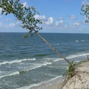 Explore Cycling along the Lithuanian Seaside (from Klaipeda) for 8 days with Baltic Bike Travel UAB and discover unforgettable experiences - Photo 7