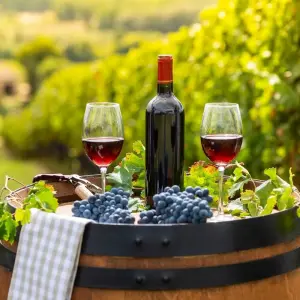 Explore Serbia Wine & Dine for 8 days with Balkan Holidays  and discover unforgettable experiences - Photo 11
