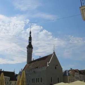 Explore Great Bike Tour of the Baltics (fully guided from Vilnius to Tallinn 2025) for 11 days with Baltic Bike Travel UAB and discover unforgettable experiences - Photo 9