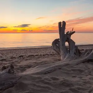 Explore The Best of Poland and The Baltics in 13 days (Guaranteed departure) for 13 days with Baltic Tours and discover unforgettable experiences - Photo 4