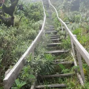 Explore 10 Day Western Uganda Wildlife Safari for 10 days with Bamboo Ecotours and discover unforgettable experiences - Photo 4