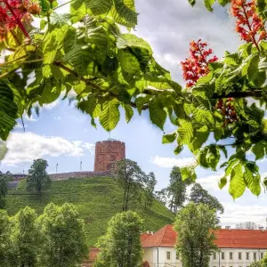 Explore Baltic Metropoles in 10 days (Vilnius - Riga - Tallinn - Helsinki) for 10 days with Baltic Nature Travel and discover unforgettable experiences - Photo 7