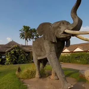 Explore 8-Day Gorilla Safari and Chimp Habituation Experience at Kibale for 8 days with Bamboo Ecotours and discover unforgettable experiences - Photo 5