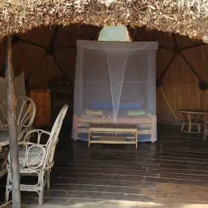 Explore 5 Day Gorilla Trekking and Lake Bunyonyi Canoeing for 5 days with Bamboo Ecotours and discover unforgettable experiences - Photo 6