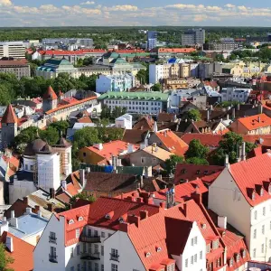 Explore 8-DAY SELF-DRIVE TOUR IN ESTONIA for 8 days with Baltic Nature Travel and discover unforgettable experiences - Photo 8