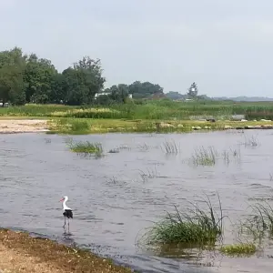 Explore Baltic Adventures (small group) for 14 days with Baltic Nature Travel and discover unforgettable experiences - Photo 9