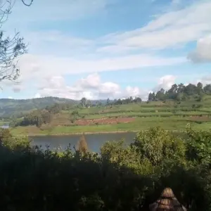 Explore 8-Day Gorilla Safari and Chimp Habituation Experience at Kibale for 8 days with Bamboo Ecotours and discover unforgettable experiences - Photo 7