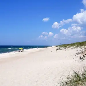 Explore Baltic Classical 10-day tour (Vilnius - Nida - Liepaja - Riga - Tallinn) for 10 days with Baltic Nature Travel and discover unforgettable experiences - Photo 10