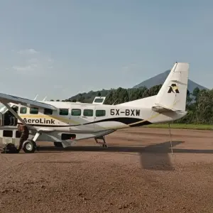 Explore 3 Day Gorilla Trekking Fly In Safari at Bwindi National Park for 3 days with Bamboo Ecotours and discover unforgettable experiences - Photo 8