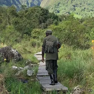 Explore 5 Day Gorilla Trekking and Lake Bunyonyi Canoeing for 5 days with Bamboo Ecotours and discover unforgettable experiences - Photo 9