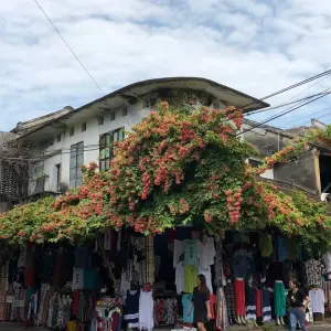 Explore Vietnam Insight package tour in 11 Days for 11 days with Bamboo Hat Tours.,ltd and discover unforgettable experiences - Photo 2