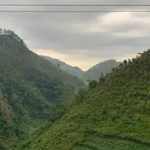 Explore Transfer from Kisoro Airport to Bwindi National Park for 2 days with Bamboo Ecotours and discover unforgettable experiences - Photo 3