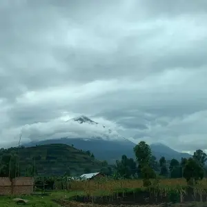 Explore 3 Day Uganda Gorilla Trek Budget Safari via Entebbe for 3 days with Bamboo Ecotours and discover unforgettable experiences - Photo 4