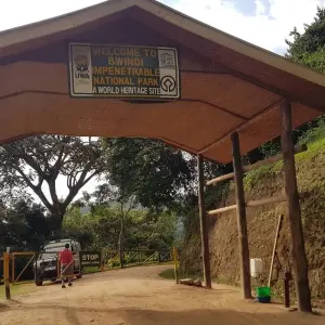 Explore 11-Day Gorillas, Chimps, and Lake Mburo Wildlife Safari for 11 days with Bamboo Ecotours and discover unforgettable experiences - Photo 4