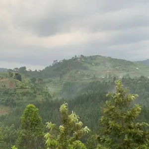 Explore 3 Day Uganda Gorilla Trek Budget Safari via Entebbe for 3 days with Bamboo Ecotours and discover unforgettable experiences - Photo 5