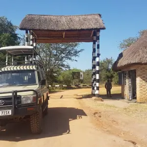 Explore 11-Day Gorillas, Chimps, and Lake Mburo Wildlife Safari for 11 days with Bamboo Ecotours and discover unforgettable experiences - Photo 6