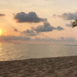 Explore Vietnam Insight package tour in 11 Days for 11 days with Bamboo Hat Tours.,ltd and discover unforgettable experiences - Photo 6