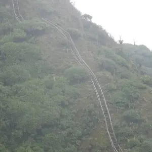 Explore 3 Day Kalinzu Forest Chimps and Gorilla Trek for 3 days with Bamboo Ecotours and discover unforgettable experiences - Photo 9