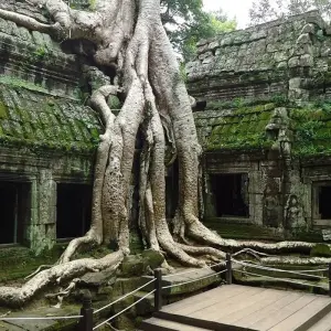 Explore From Angkor Wat To Halong Bay Short Tour 7 Days for 7 days with Bamboo Hat Tours.,ltd and discover unforgettable experiences - Photo 4