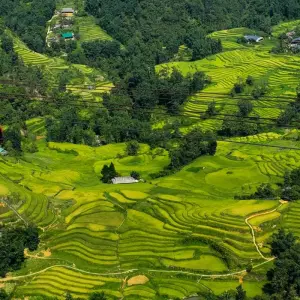 Explore Discover the Wonders of Northern Vietnam 7 days Hanoi, Sapa, Halong. for 7 days with Bamboo Hat Tours.,ltd and discover unforgettable experiences - Photo 11