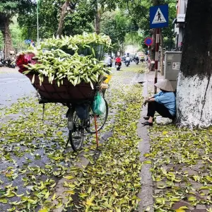 Explore From Angkor Wat To Halong Bay Short Tour 7 Days for 7 days with Bamboo Hat Tours.,ltd and discover unforgettable experiences - Photo 9