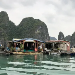 Explore Vietnam at a glance: Hanoi - Ninh Binh - Halong Bay - Mekong Delta - Ho Chi Minh City. for 7 days with Bamboo Hat Tours.,ltd and discover unforgettable experiences - Photo 10