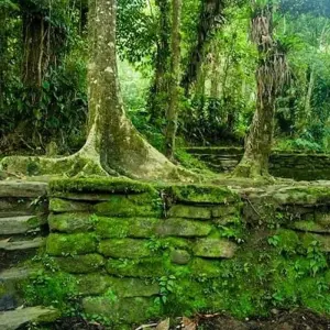 Explore Lost City Trek 4D/3N for 4 days with Bamba Travel and discover unforgettable experiences - Photo 6