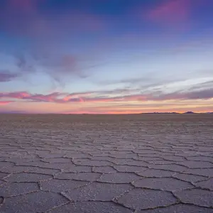Explore Uyuni Salt Flats & Desert Adventure 4D/3N (La Paz to Atacama) for 4 days with Bamba Travel and discover unforgettable experiences - Photo 11