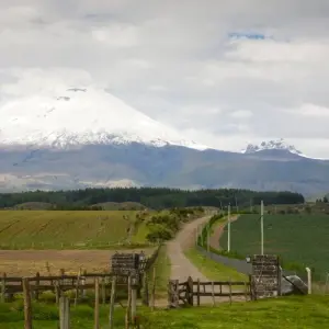 Explore Enchanted Ecuador: Rainforest, Andes, and Culture 9D/8N for 9 days with Bamba Travel and discover unforgettable experiences - Photo 10