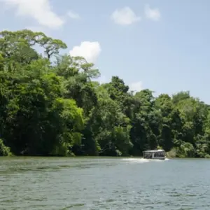 Explore Tortuguero Trails & Pacuare Rapids 4D/3N for 4 days with Bamba Travel and discover unforgettable experiences - Photo 7