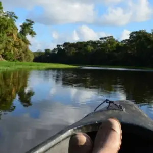 Explore Tortuguero Trails & Pacuare Rapids 4D/3N for 4 days with Bamba Travel and discover unforgettable experiences - Photo 8