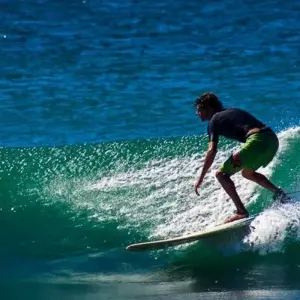 Explore Garden Route & Addo Adventure 5D/4N for 5 days with Bamba Travel and discover unforgettable experiences - Photo 3