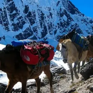 Explore Ausangate Trek 4D/3N for 4 days with Bamba Travel and discover unforgettable experiences - Photo 2