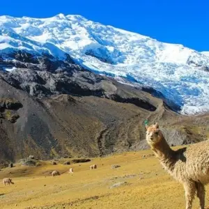 Explore Ausangate Trek 4D/3N for 4 days with Bamba Travel and discover unforgettable experiences - Photo 3