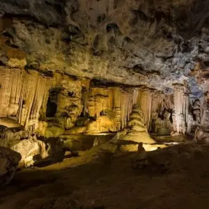 Explore Garden Route & Wine Adventure 7D/6N for 7 days with Bamba Travel and discover unforgettable experiences - Photo 5