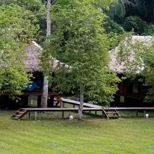 Explore Puerto Maldonado Amazon Eco-Lodge 5D/4N (from Cuzco) for 5 days with Bamba Travel and discover unforgettable experiences - Photo 2