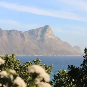 Explore Garden Route & Wine Adventure 7D/6N for 7 days with Bamba Travel and discover unforgettable experiences - Photo 6
