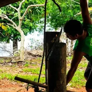 Explore Manaus Amazon Jungle Adventure 5D/4N for 5 days with Bamba Travel and discover unforgettable experiences - Photo 3